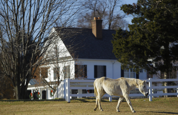 HORSE COUNTRY: An estate in the Maryland suburbs. The earnings of the Washington-area elite - lawyers, lobbyists, entrepreneurs have risen sharply. REUTERS/Gary Cameron
