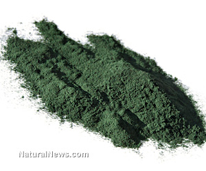 Spirulina-Green-Powder