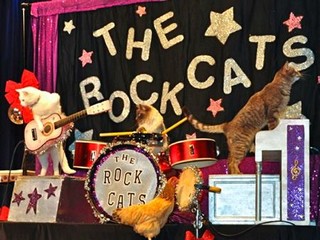 Rock20Cats