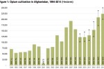 Opium Cultivation Hits New Record High in Afghanistan