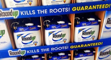 Too ‘dramatic’: Monsanto shuns WHO verdict that Roundup ‘probably’ causes cancer