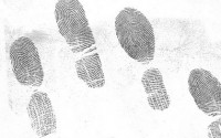 5.6 million fingerprints stolen in U.S. personnel data hack: government