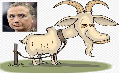 Hillarybillgoat