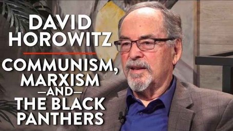 dh_small Full Interview: David Horowitz On The Rubin Report News  