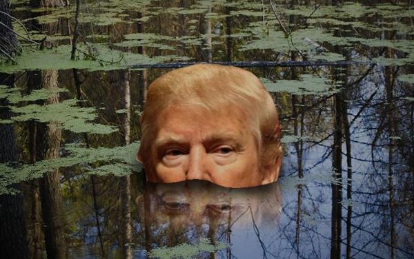 swampdeep_small Drain the Swamp: Trump Advisers Call For A ‘Purge’ Of Obama Appointees Headlines  