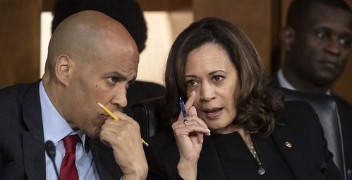 dumsad_small The Democrats' Sad Circus Liberals  